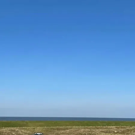 An Bord Im Strandtuun Auf *