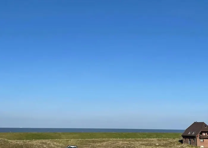 An Bord Im Strandtuun Auf *